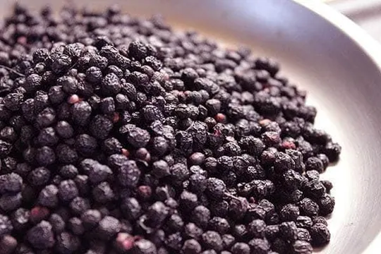 Maqui Berry biológica em pó