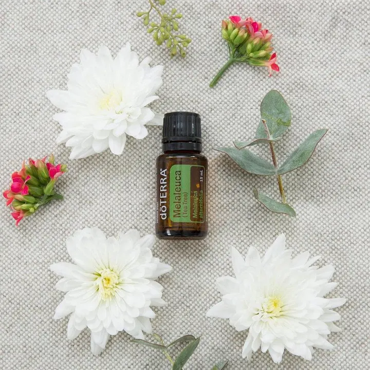 Óleo Essencial de Tea Tree (Melaleuca)