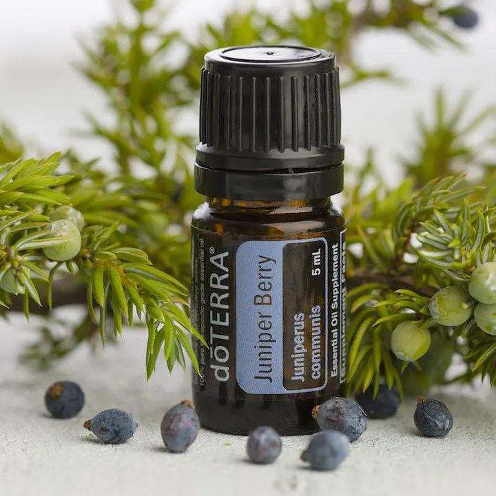 Óleo Essencial de Zimbro (Juniper Berry)