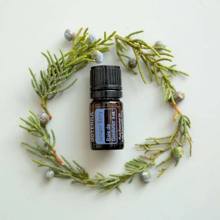 Óleo Essencial de Zimbro (Juniper Berry)