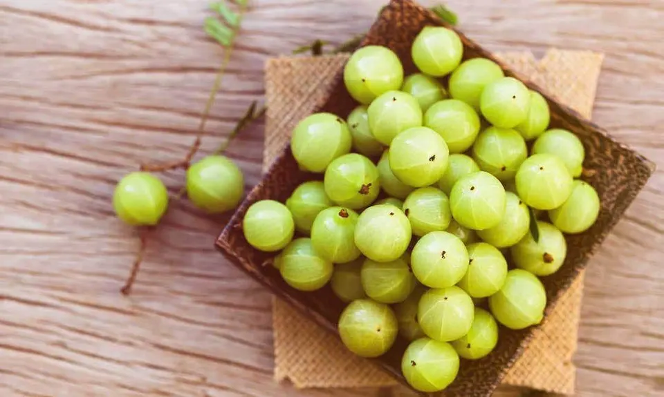 Amla biológica em pó
