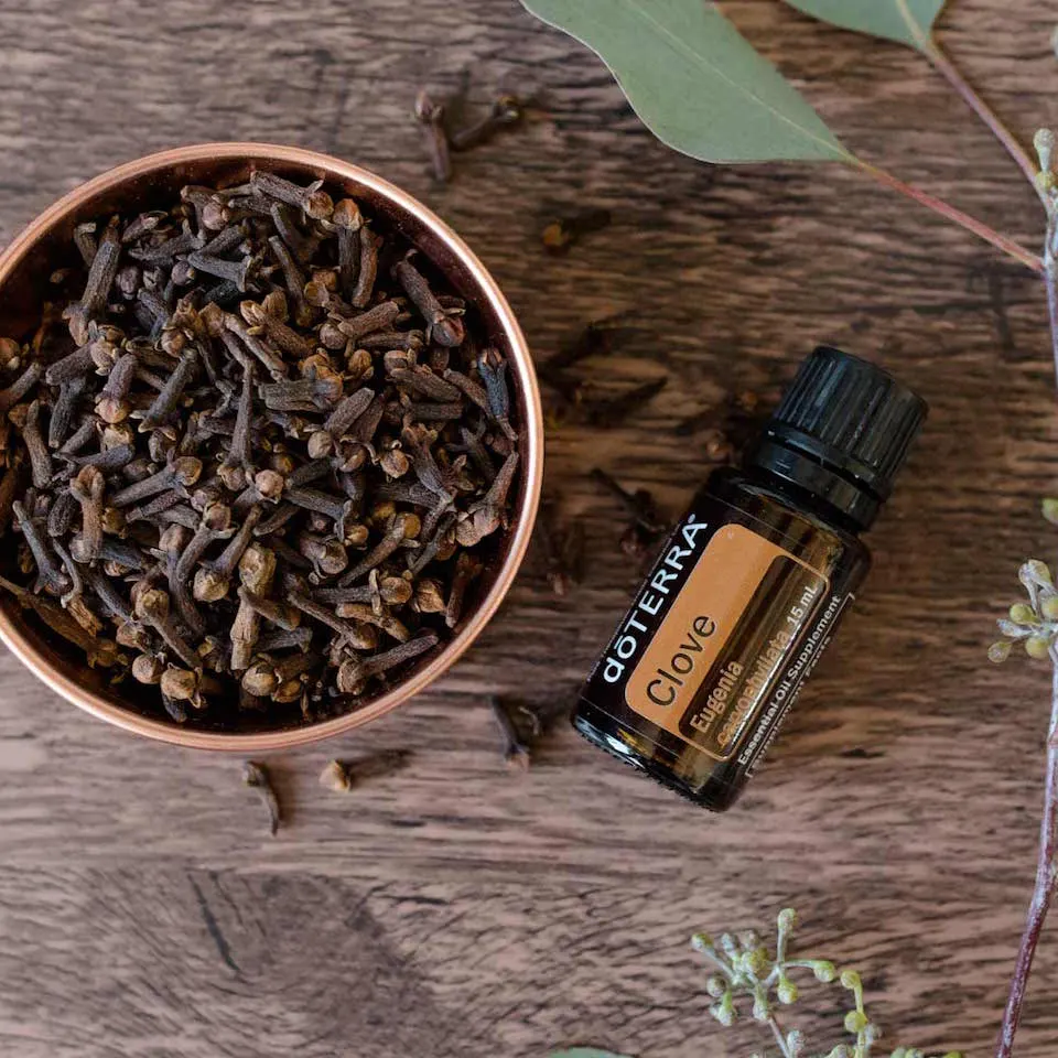 Óleo Essencial Clove (Cravo-da-Índia)