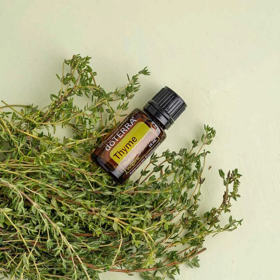 Óleo Essencial de Tomilho (Thyme)